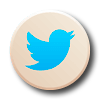 Ephémère - logo twitter